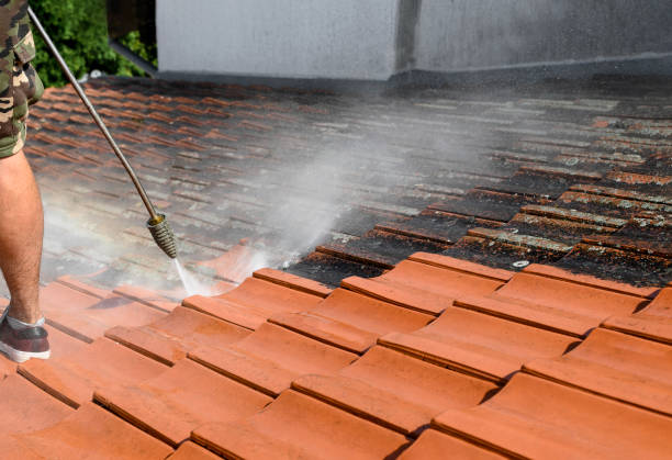 Best Power Washing Near Me  in Lagrange, IN