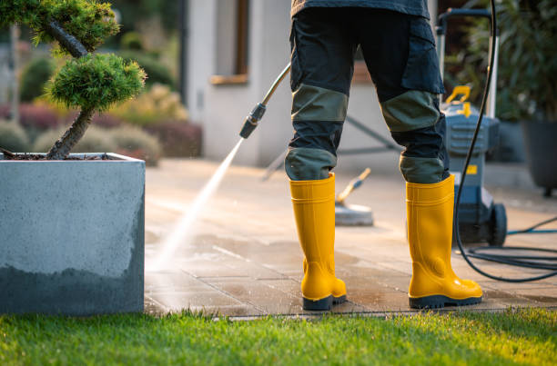 Deck Cleaning Services